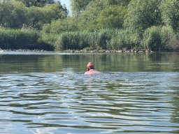 Mainschwimmen Juni 2026